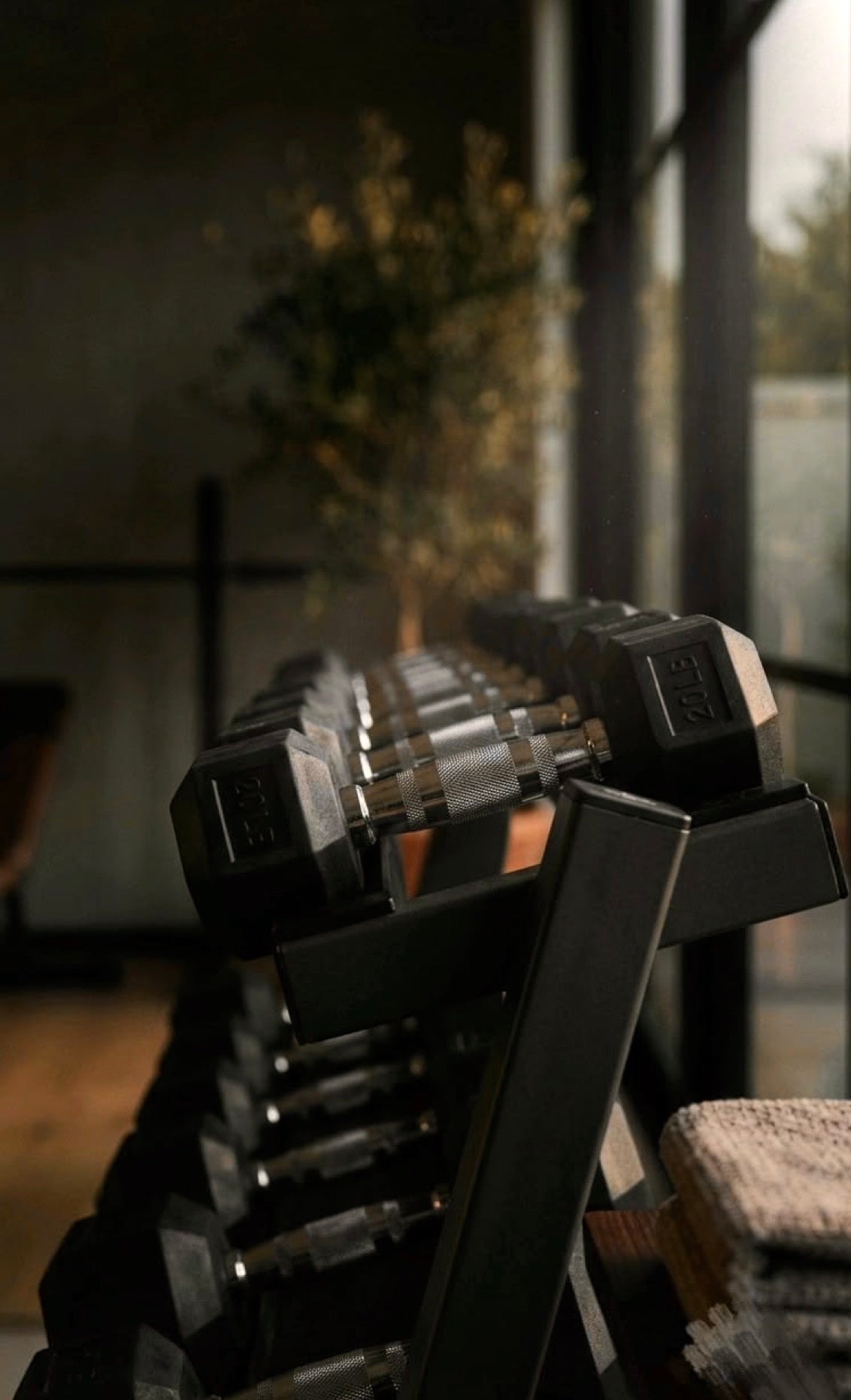 Fitness