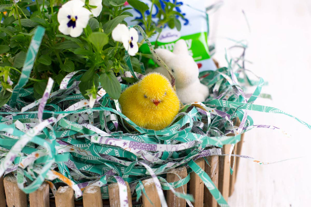 Eco Shred Basket Filler • Crinkle Paper Alternative • Plastic-Free Gift Basket Fill