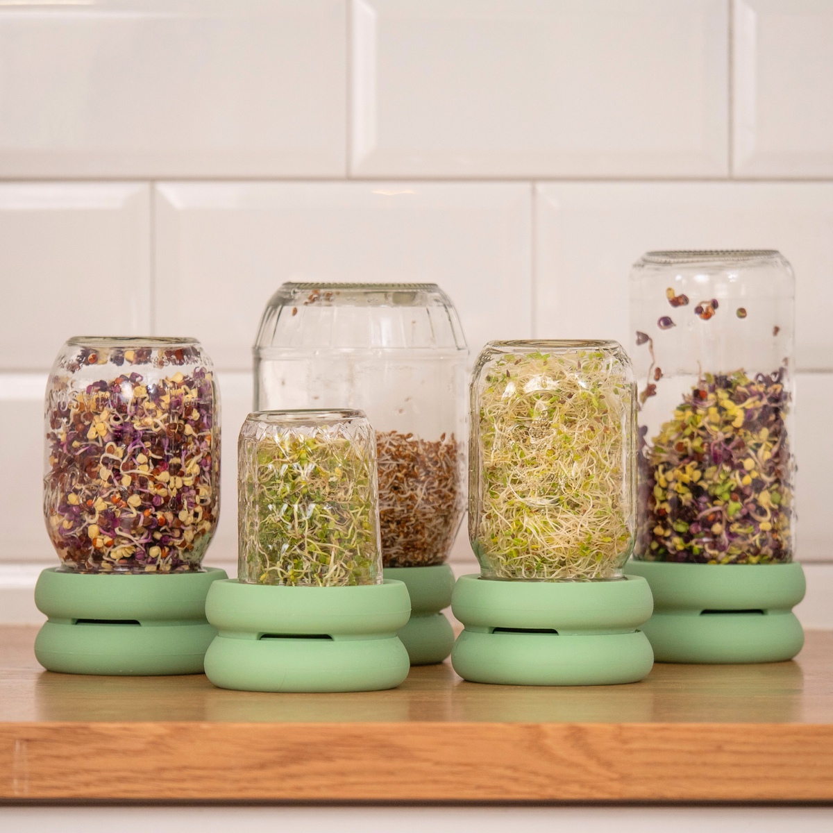 Reusable Silicone Sprouting Lids | Mason Jar Sprout Kit