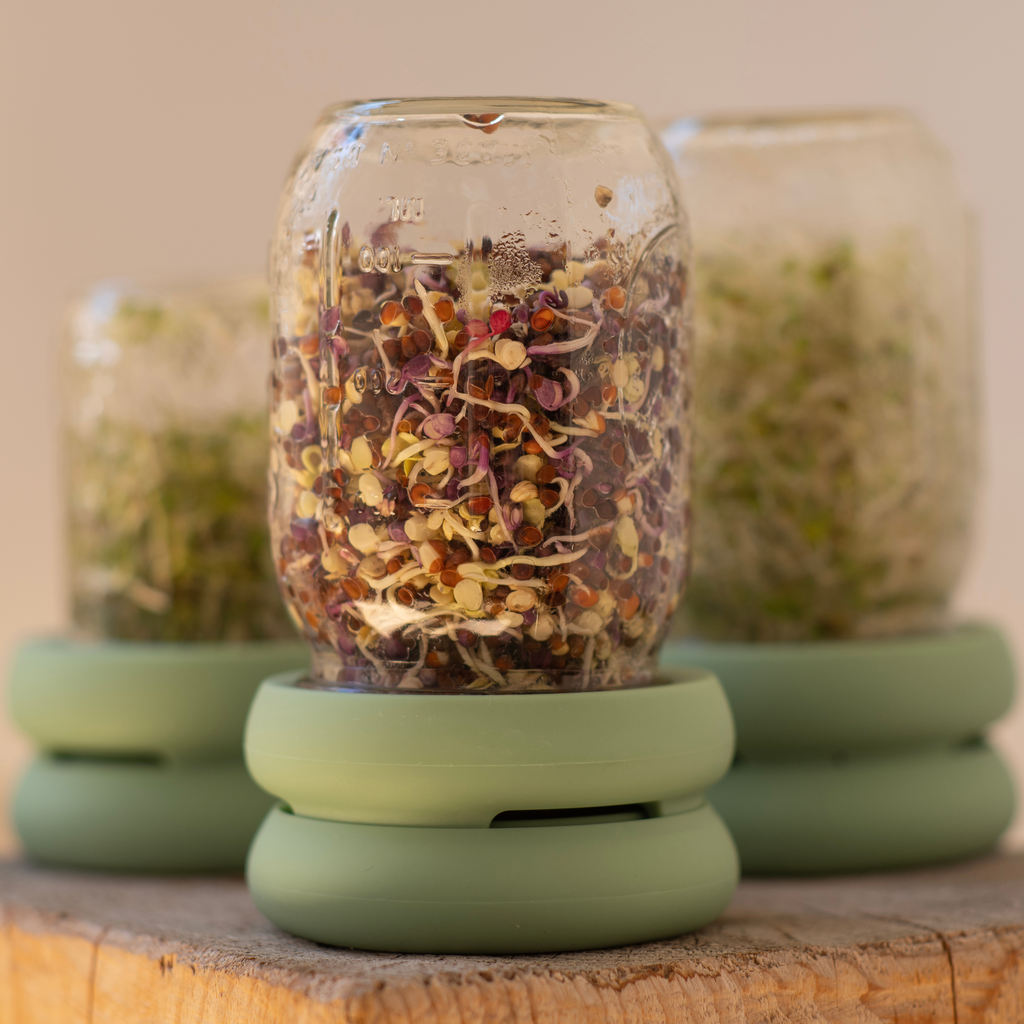 Reusable Silicone Sprouting Lids | Mason Jar Sprout Kit