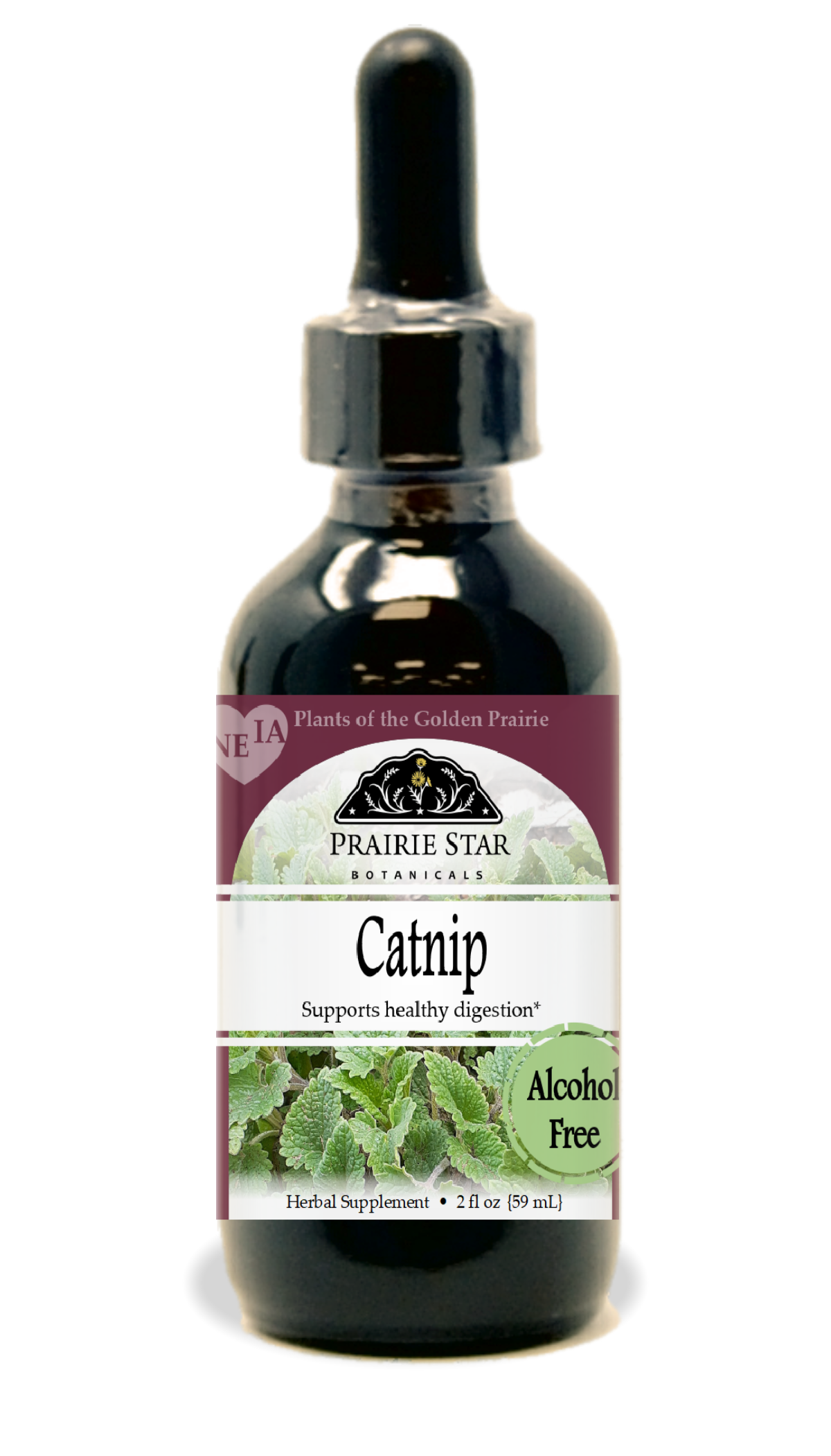 Catnip