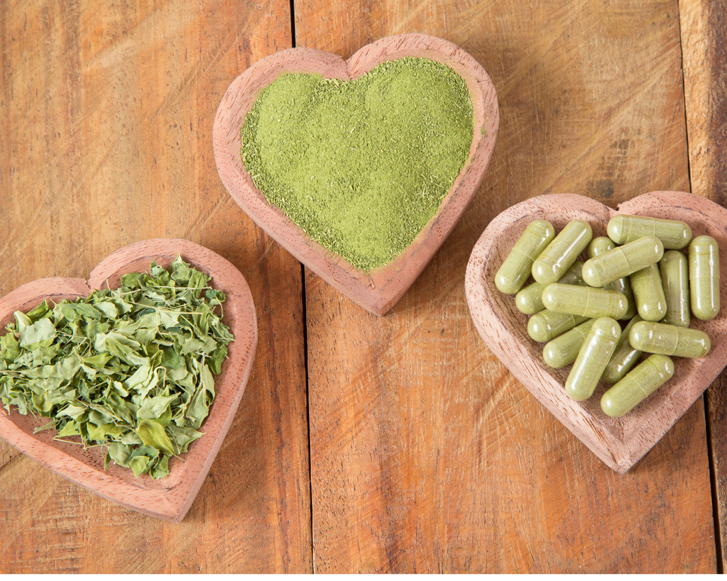 Organic Moringa Oleifera - Ancient Discovery