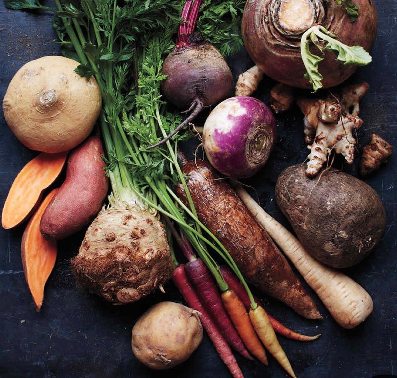 Immune & Digestion