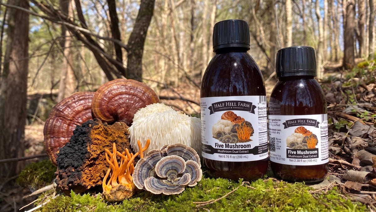 Five Mushroom Dual Extract