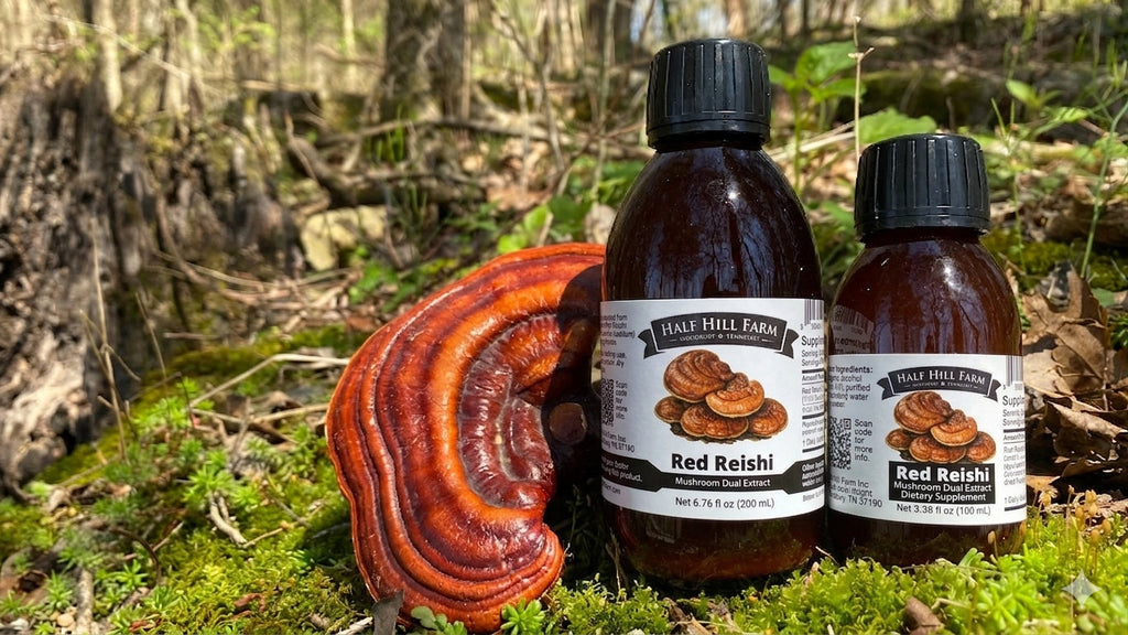 Red Reishi Mushroom Dual Extract