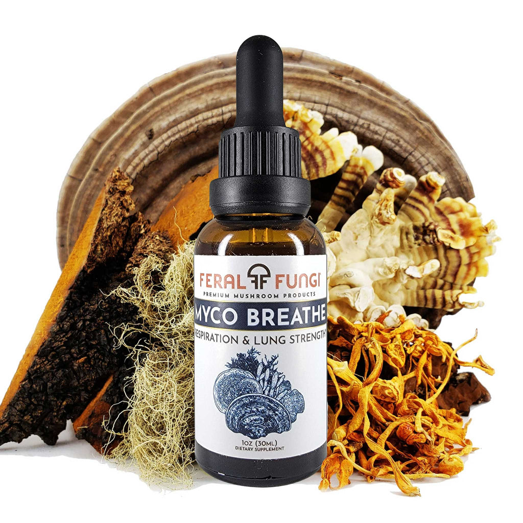 Myco-Breathe Spagyric Tincture