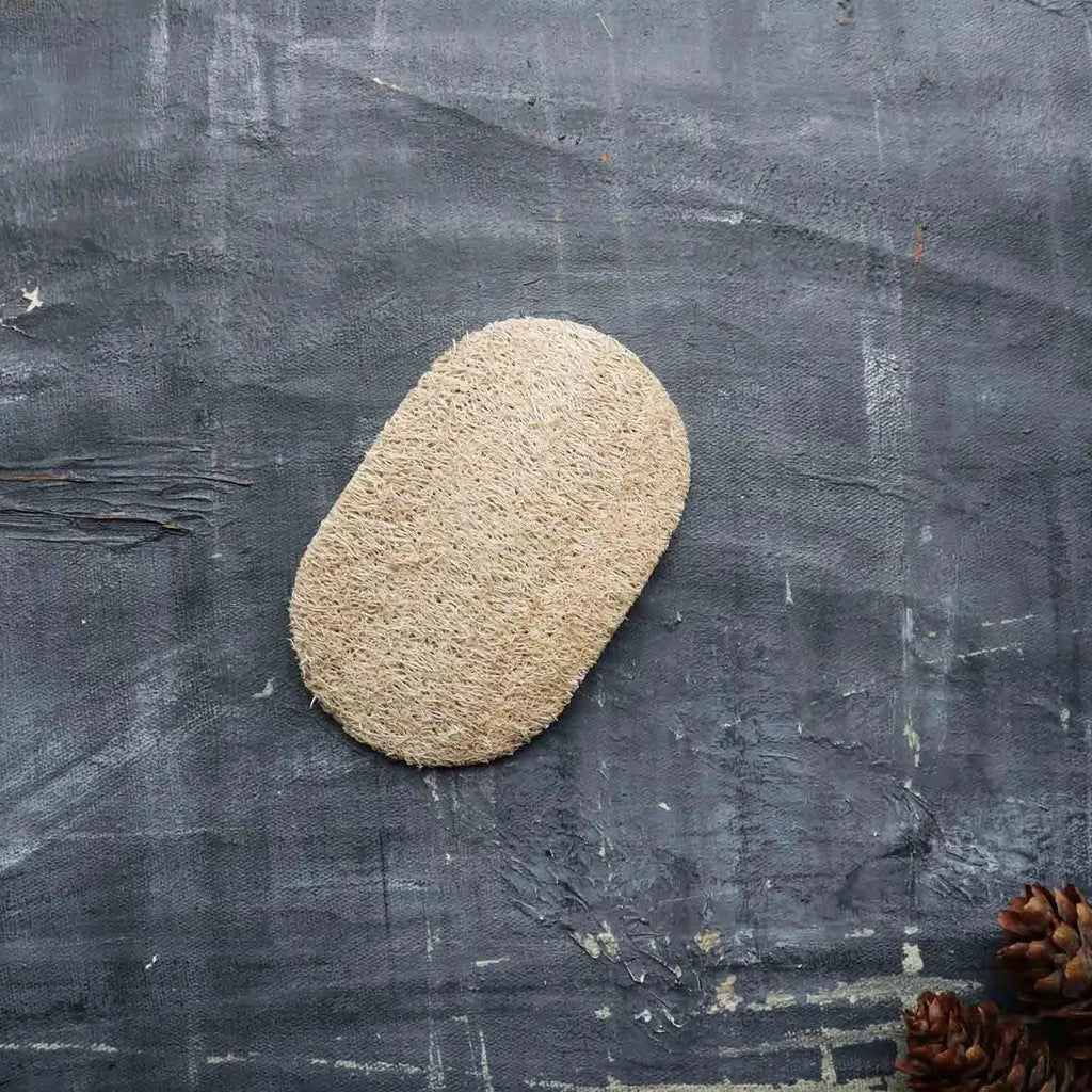 Natural Loofah Dishwashing Sponge – Set of 2