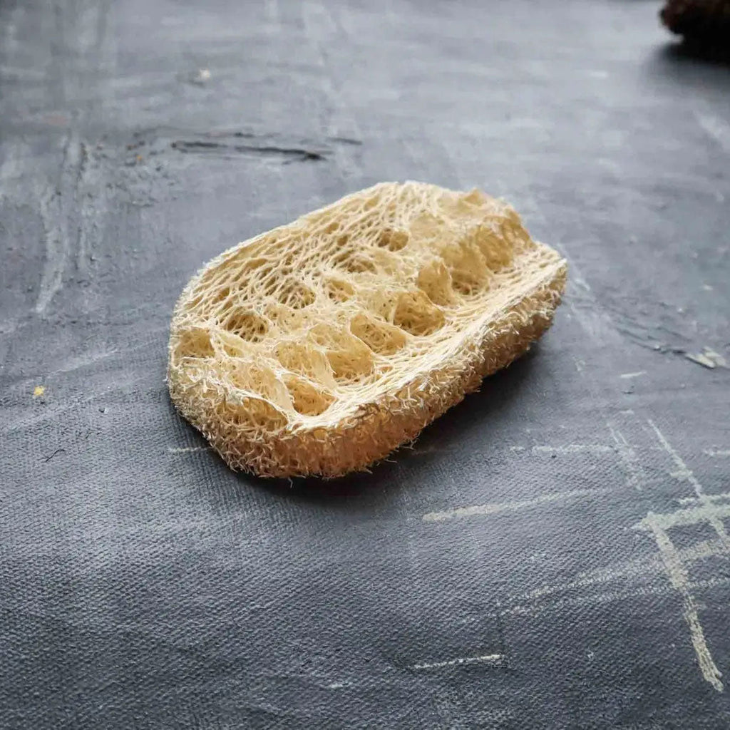 Natural Loofah Dishwashing Sponge – Set of 2