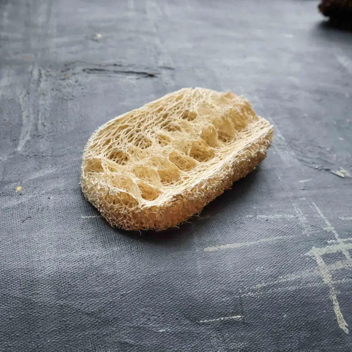 Natural Loofah Dishwashing Sponge – Set of 2