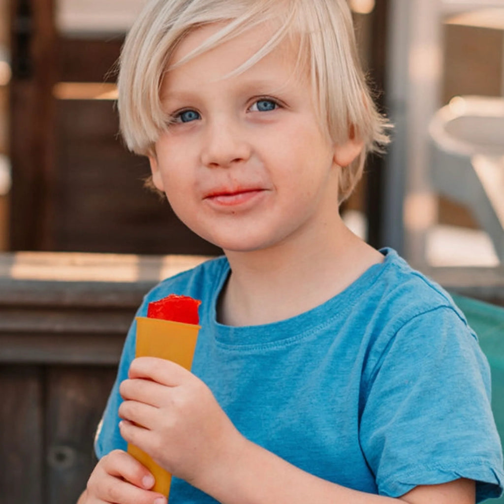 Freeze Pop Mold - Set of 4